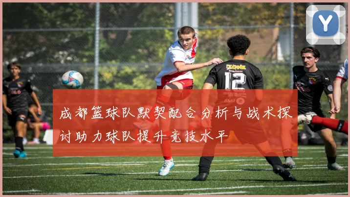 成都篮球队默契配合分析与战术探讨助力球队提升竞技水平