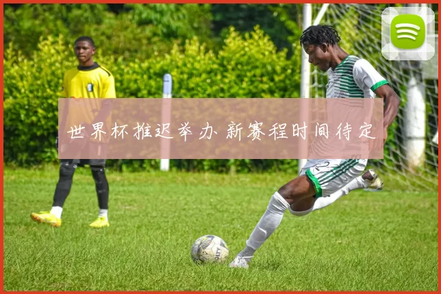世界杯推迟举办 新赛程时间待定
