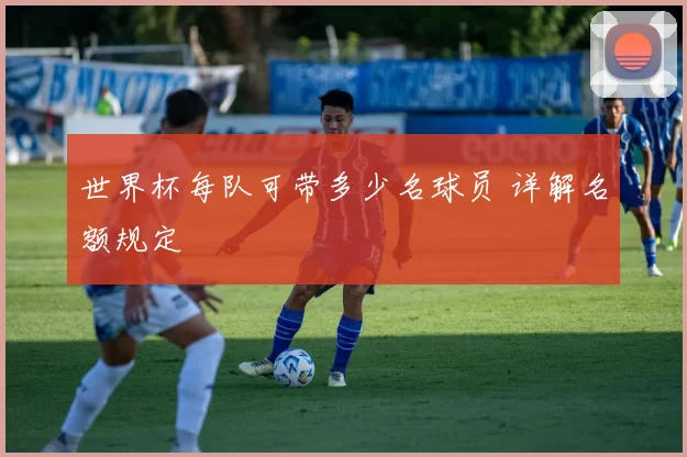 世界杯每队可带多少名球员 详解名额规定