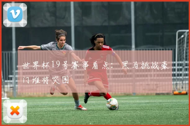 世界杯19号赛事看点:黑马挑战豪门谁将突围