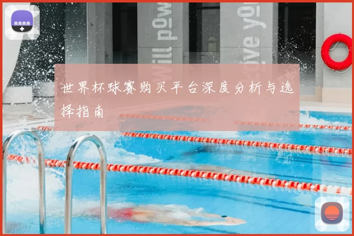 世界杯球赛购买平台深度分析与选择指南