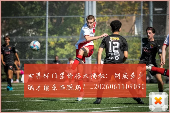 世界杯门票价格大揭秘：到底多少钱才能亲临现场？_20260611090907