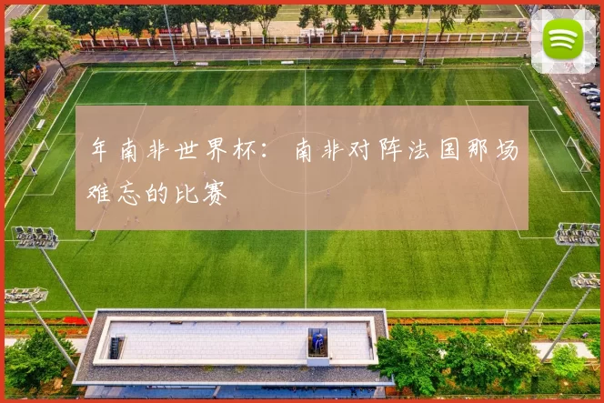 年南非世界杯：南非对阵法国那场难忘的比赛