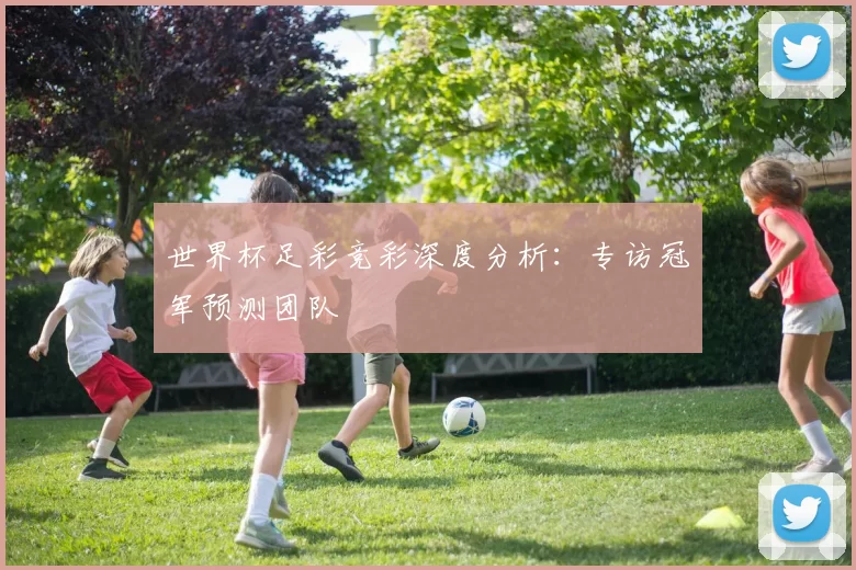 世界杯足彩竞彩深度分析:专访冠军预测团队