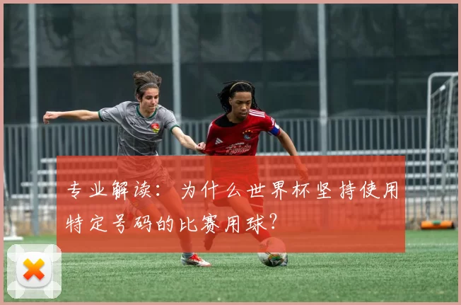 专业解读：为什么世界杯坚持使用特定号码的比赛用球？