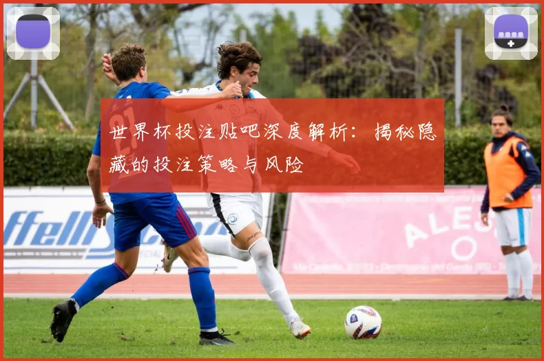 世界杯投注贴吧深度解析:揭秘隐藏的投注策略与风险