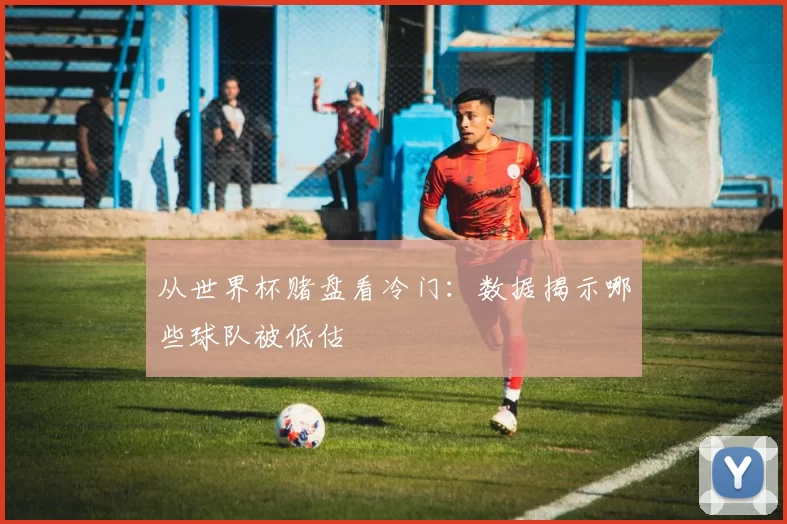 从世界杯赌盘看冷门：数据揭示哪些球队被低估