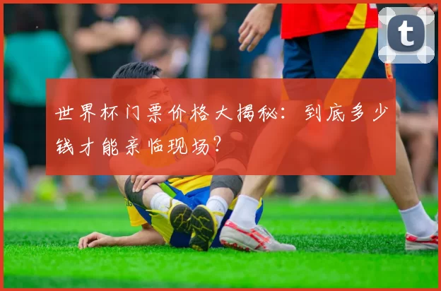 世界杯门票价格大揭秘：到底多少钱才能亲临现场？