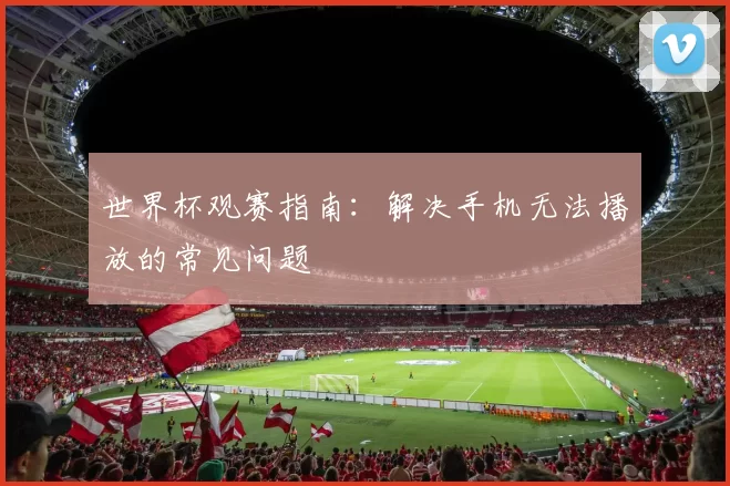 世界杯观赛指南：解决手机无法播放的常见问题
