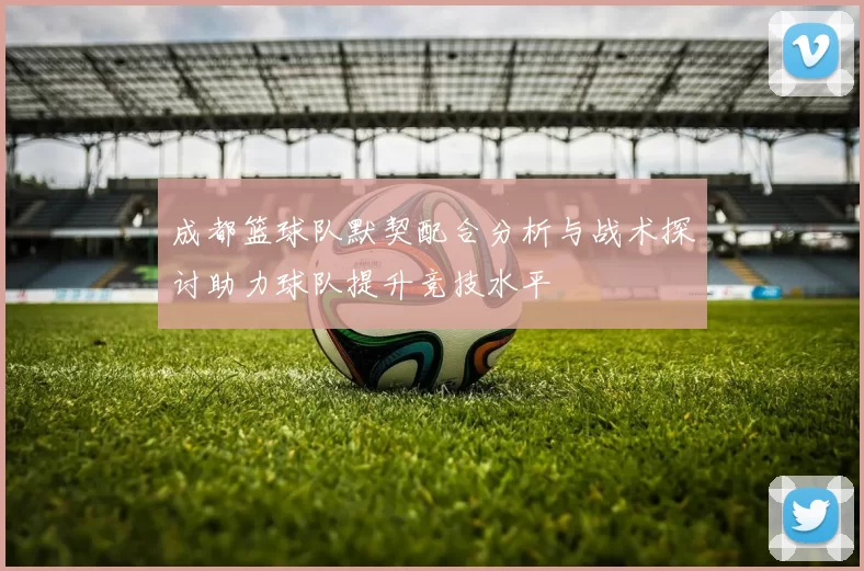 成都篮球队默契配合分析与战术探讨助力球队提升竞技水平